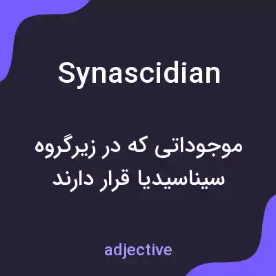 معنی synascidian به فارسی معنی synascidian به فارسی