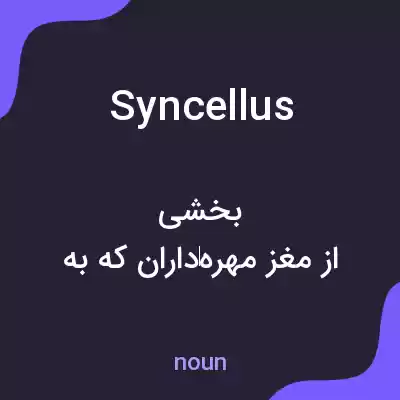 معنی syncellus به فارسی معنی syncellus به فارسی