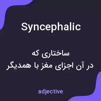 معنی syncephalic به فارسی معنی syncephalic به فارسی
