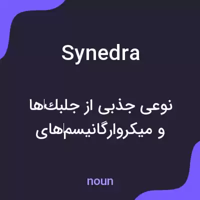 معنی synedra به فارسی