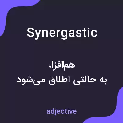 معنی synergastic به فارسی