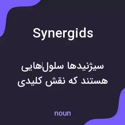 معنی synergids به فارسی معنی synergids به فارسی