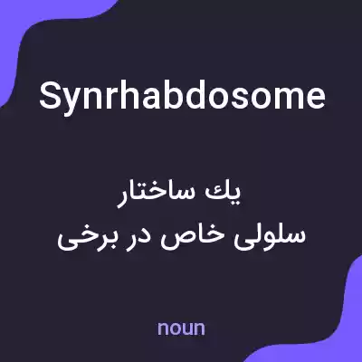 معنی synrhabdosome به فارسی معنی synrhabdosome به فارسی