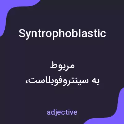 معنی syntrophoblastic به فارسی معنی syntrophoblastic به فارسی