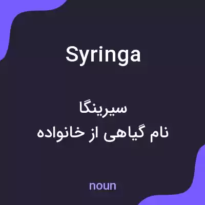 معنی syringa به فارسی معنی syringa به فارسی