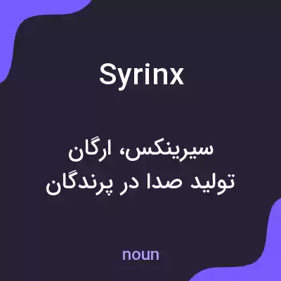 معنی syrinx به فارسی معنی syrinx به فارسی
