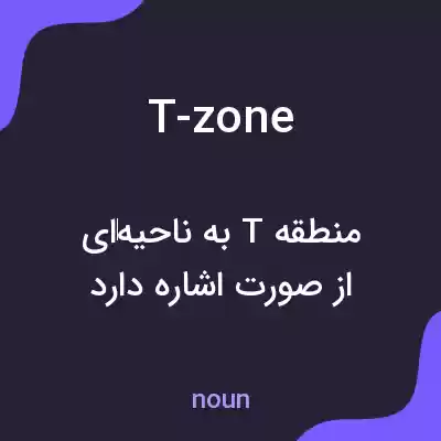 معنی t-zone به فارسی معنی t-zone به فارسی