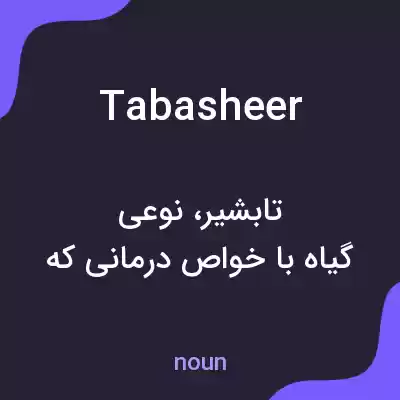 معنی tabasheer به فارسی