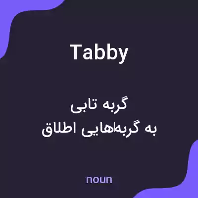 معنی tabby به فارسی معنی tabby به فارسی