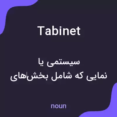 معنی tabinet به فارسی معنی tabinet به فارسی