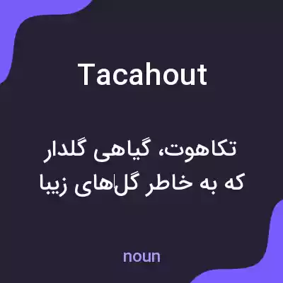 معنی tacahout به فارسی معنی tacahout به فارسی