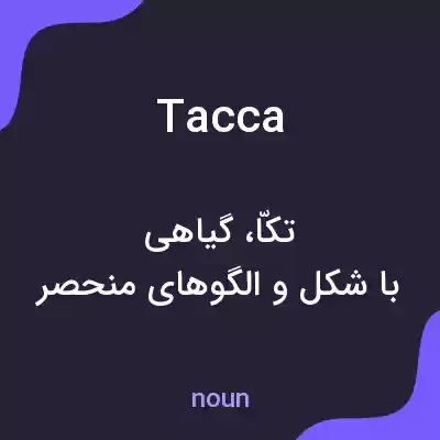 معنی tacca به فارسی معنی tacca به فارسی