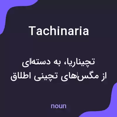 معنی tachinaria به فارسی معنی tachinaria به فارسی