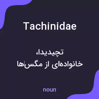 معنی tachinidae به فارسی