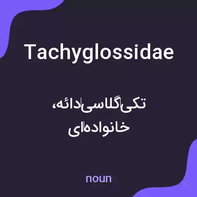 معنی tachyglossidae به فارسی معنی tachyglossidae به فارسی