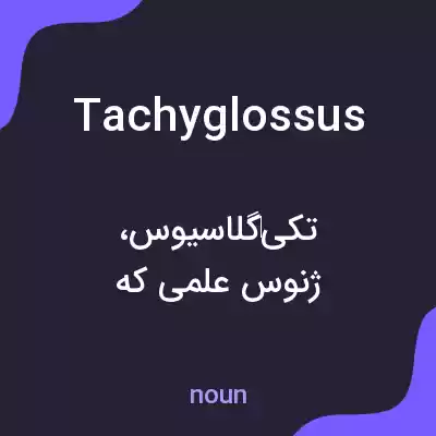 معنی tachyglossus به فارسی معنی tachyglossus به فارسی