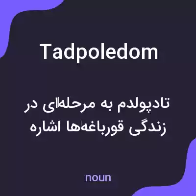 معنی tadpoledom به فارسی معنی tadpoledom به فارسی