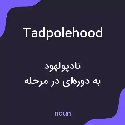 معنی tadpolehood به فارسی معنی tadpolehood به فارسی