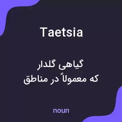 معنی taetsia به فارسی معنی taetsia به فارسی