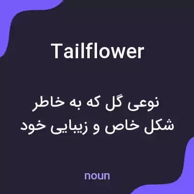 معنی tailflower به فارسی معنی tailflower به فارسی