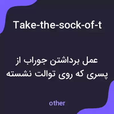 معنی take-the-sock-of-the-boy-sitting-on-the-toilet به فارسی
