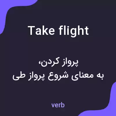معنی take flight به فارسی