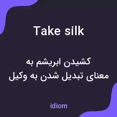 معنی take silk به فارسی معنی take silk به فارسی