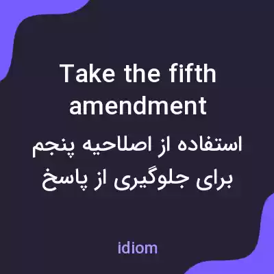 معنی take the fifth amendment به فارسی معنی take the fifth amendment به فارسی