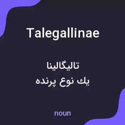 معنی talegallinae به فارسی معنی talegallinae به فارسی