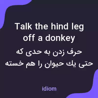 معنی talk the hind leg off a donkey به فارسی معنی talk the hind leg off a donkey به فارسی