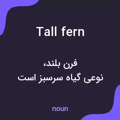 معنی tall fern به فارسی معنی tall fern به فارسی