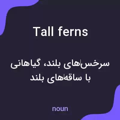 معنی tall ferns به فارسی معنی tall ferns به فارسی