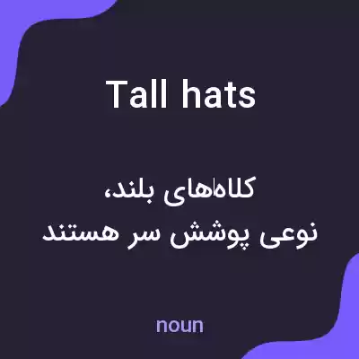 معنی tall hats به فارسی معنی tall hats به فارسی
