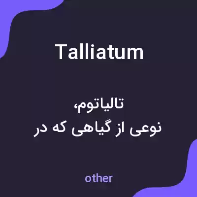 معنی talliatum به فارسی معنی talliatum به فارسی