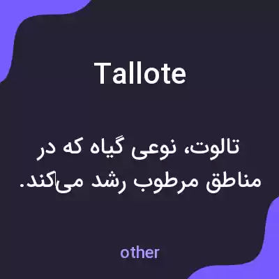 معنی tallote به فارسی معنی tallote به فارسی