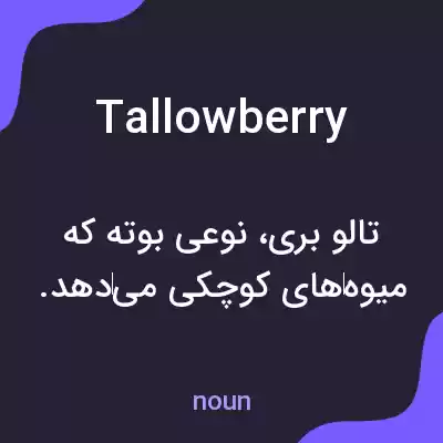 معنی tallowberry به فارسی معنی tallowberry به فارسی