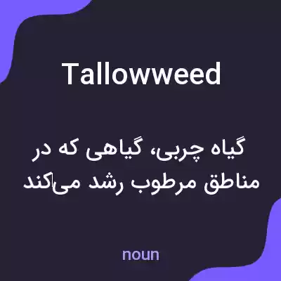 معنی tallowweed به فارسی معنی tallowweed به فارسی