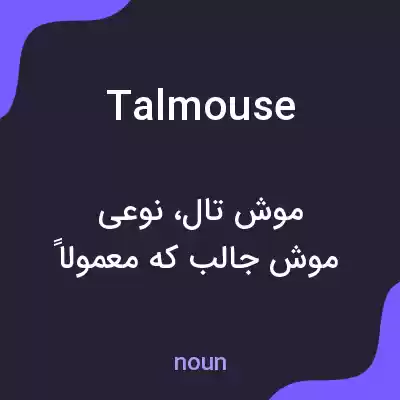 معنی talmouse به فارسی معنی talmouse به فارسی
