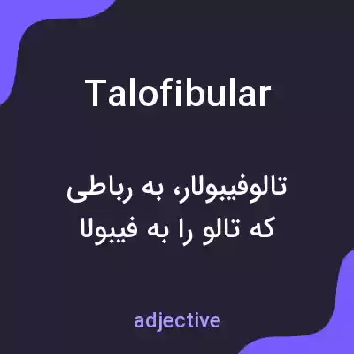 معنی talofibular به فارسی معنی talofibular به فارسی