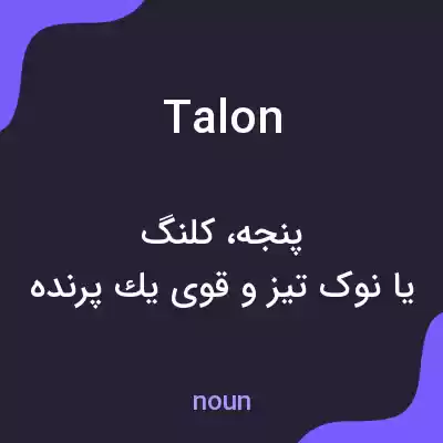 معنی talon به فارسی معنی talon به فارسی
