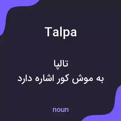 معنی talpa به فارسی معنی talpa به فارسی