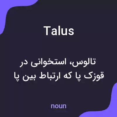 معنی talus به فارسی معنی talus به فارسی