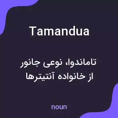 معنی tamandua به فارسی معنی tamandua به فارسی