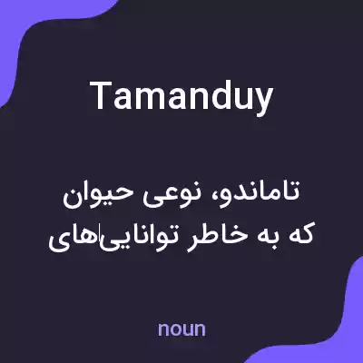 معنی tamanduy به فارسی معنی tamanduy به فارسی
