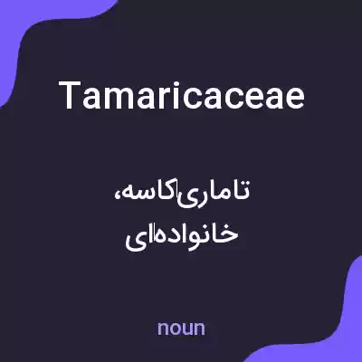 معنی tamaricaceae به فارسی معنی tamaricaceae به فارسی