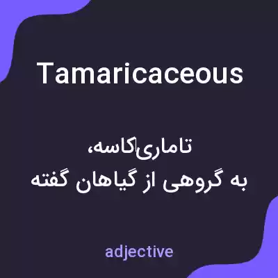 معنی tamaricaceous به فارسی معنی tamaricaceous به فارسی