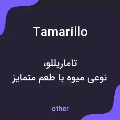 معنی tamarillo به فارسی معنی tamarillo به فارسی