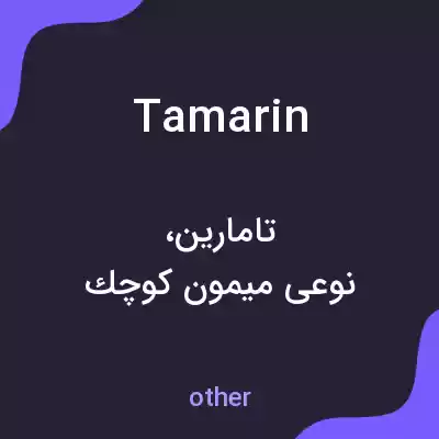 معنی tamarin به فارسی معنی tamarin به فارسی