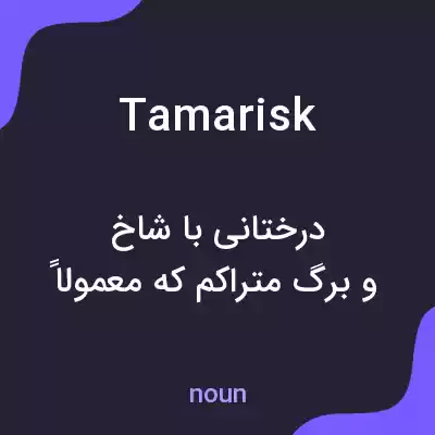 معنی tamarisk به فارسی معنی tamarisk به فارسی
