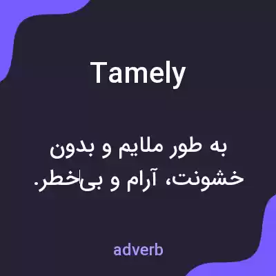 معنی tamely به فارسی معنی tamely به فارسی